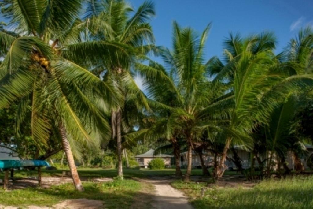 Le Vasseur La Buse Eco Resort Anse la blague Exterior foto